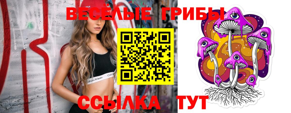 Галлюциногенные грибы Psilocybine cubensis  Вход с VPN  Чебоксары  купить наркоту  Псилоцибиновые грибы мицелий 